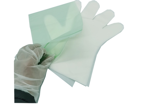 Ivory White Compostable Food Prep Gloves ASTM D6400 For Food Handling
