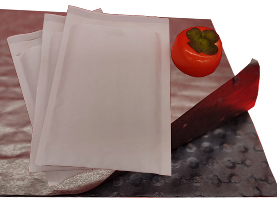 Eco-friendly Papar Pulp Padded Kraft Envelopes Compostable Kraft Mailing Mailers